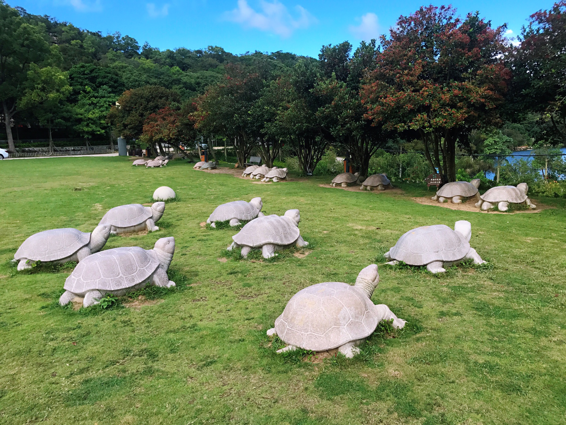 黄花山国家森林公园      