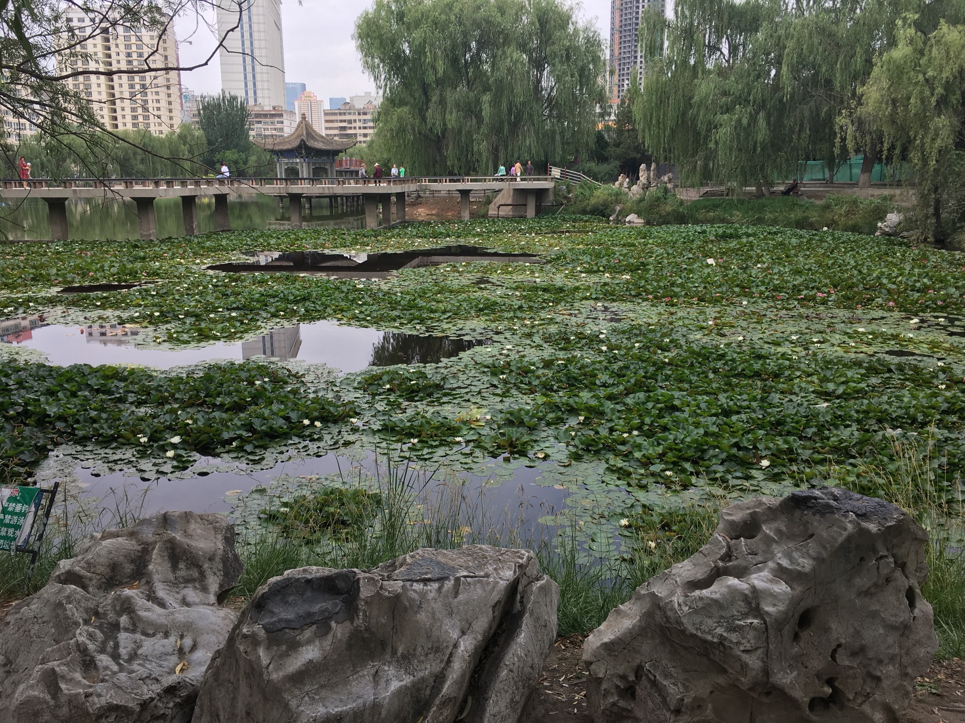 兰州小西湖公园        