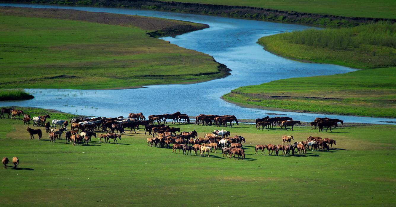 航拍呼伦贝尔大草原美图,内蒙古旅游攻略 - 马蜂窝