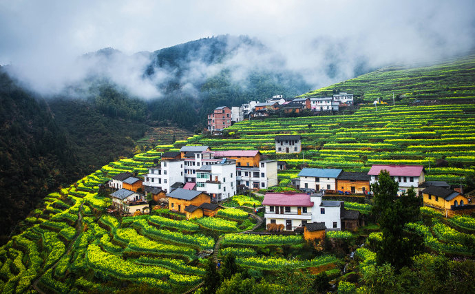 浙江开化县台回山油菜花2日自驾导航路线