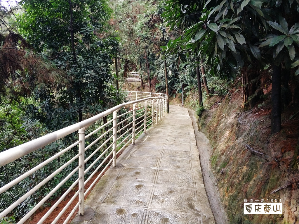 重庆南山登山步道-山间步道徒步路线(进阶篇)