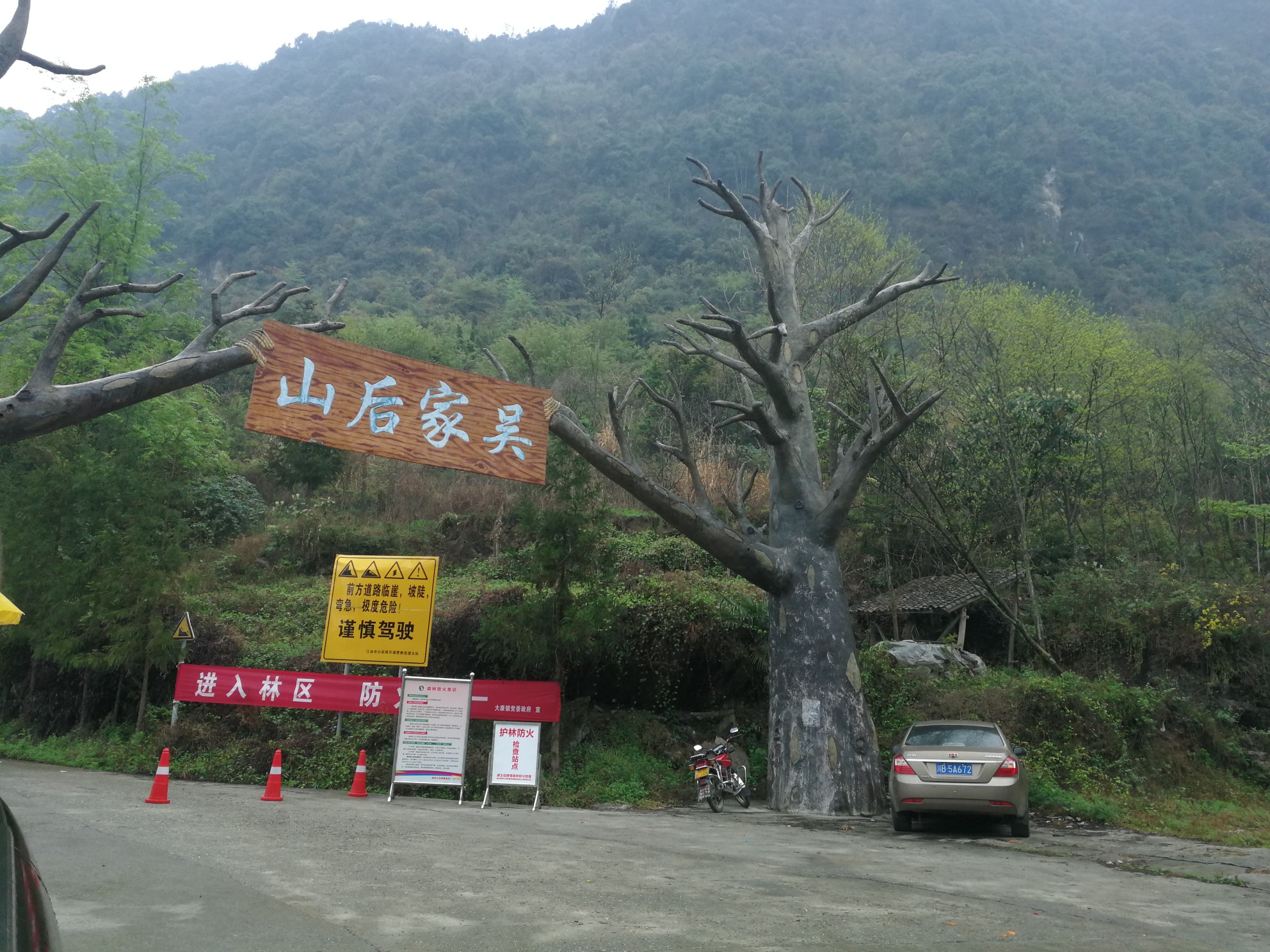 吴家后山辛夷花,江油旅游攻略 - 马蜂窝