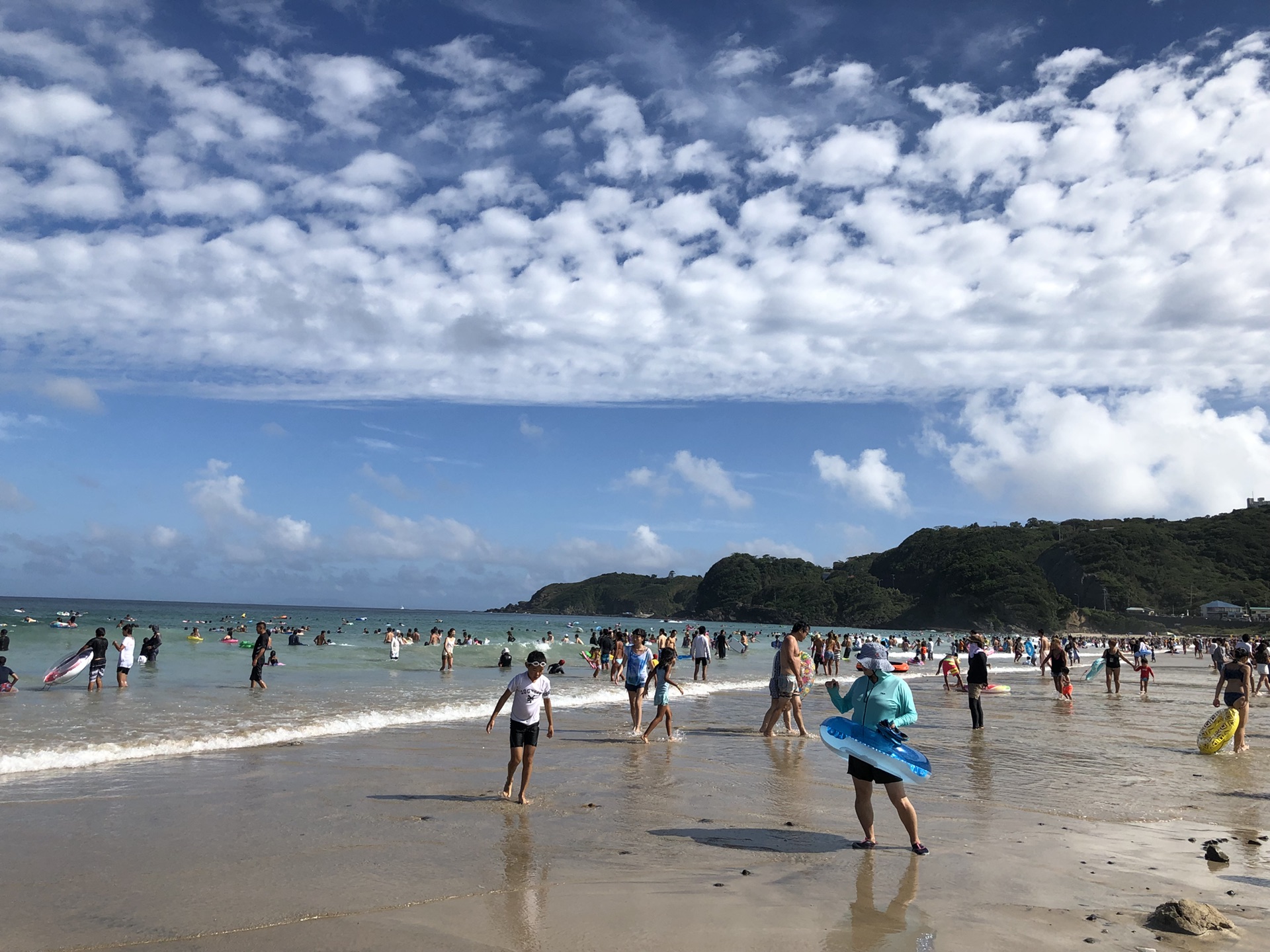 6日 东京-伊豆-白滨海滩-堂岛-修善寺行 〖我的第一篇