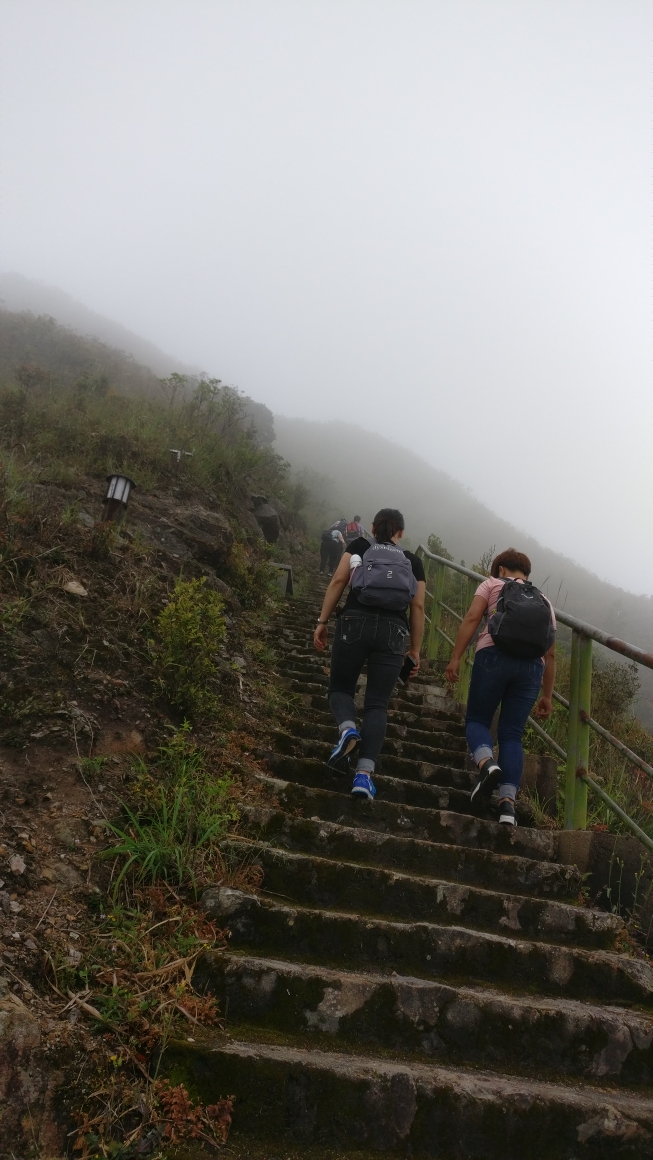 雨登阴那山