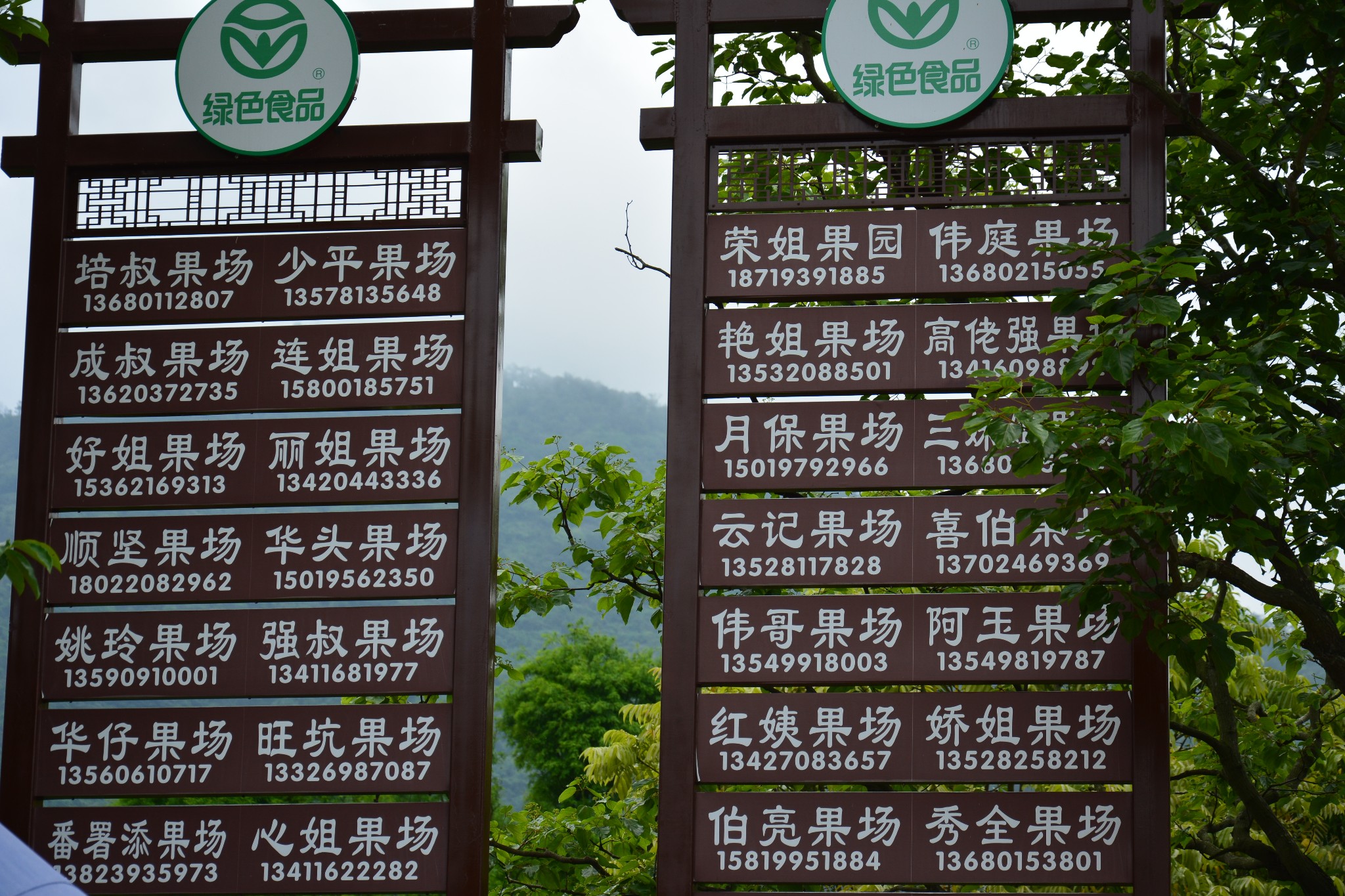 神湾丫髻山菠萝节