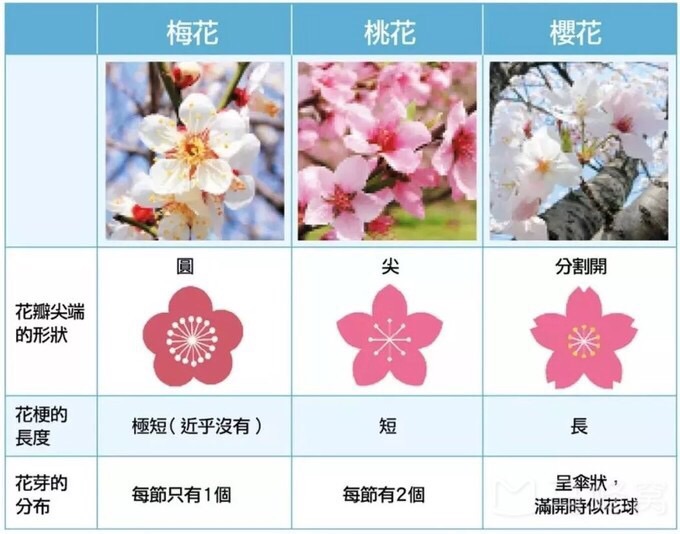 wKgBEFrFtP2ALrN7AAFbUq6cnNY51.jpeg?imageView2%2F2%2Fw%2F600%2Fh%2F600%2Fq%2F90