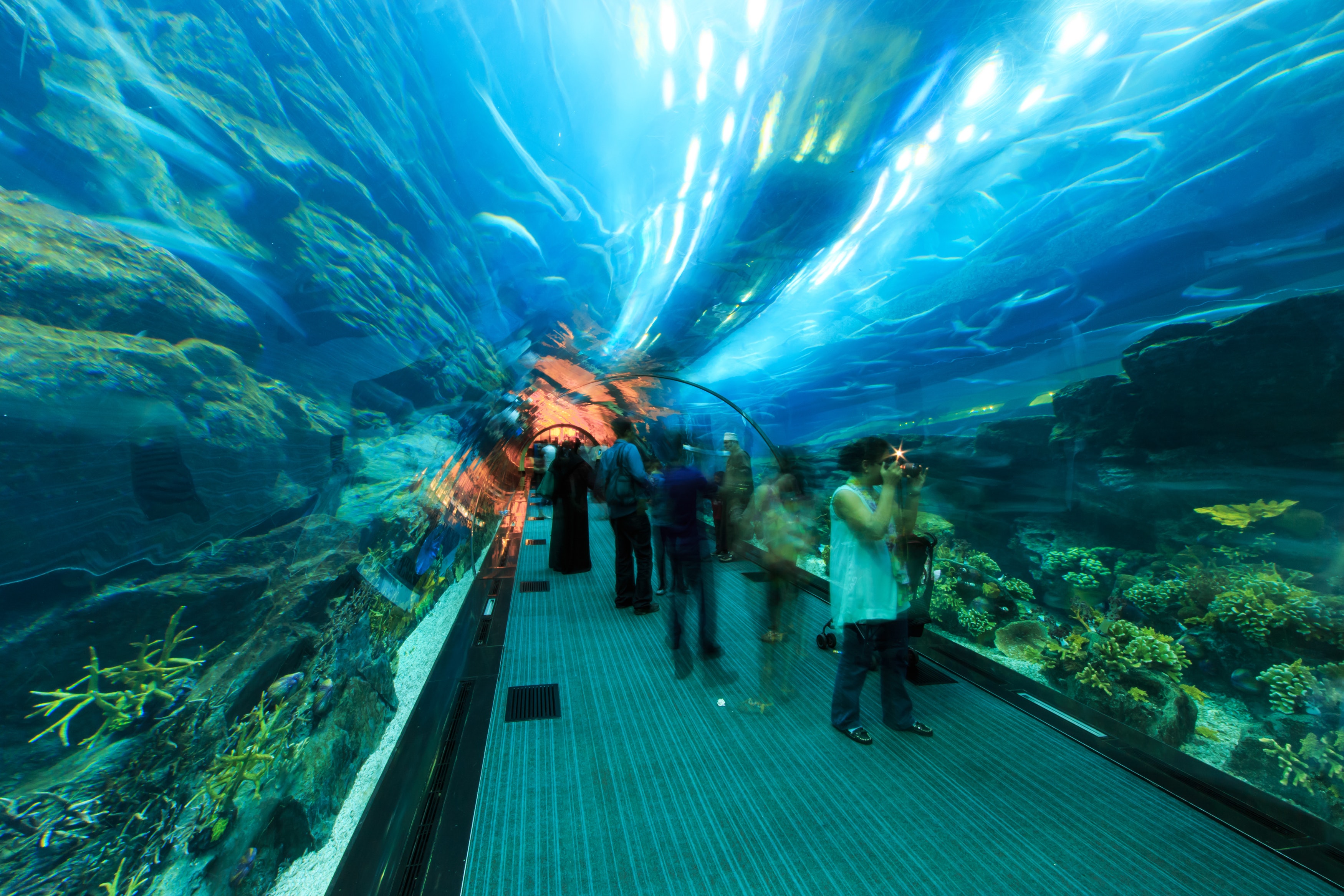 下单立即出票/迪拜水族馆海底世界门票(电子票无需兑换 扫码入园,马