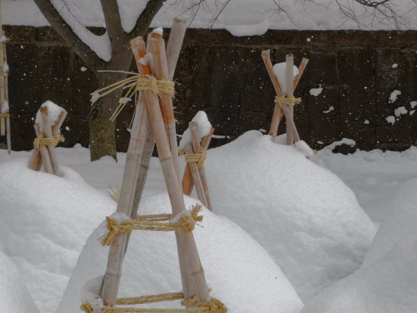 怎么选择冰爪 wKgBEFruoBCATyrKAAg96CzPQjg06.jpeg?imageView2%2F2%2Fw%2F600%2Fh%2F600%2Fq%2F90