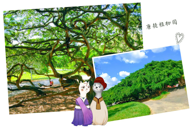 超全斯里兰卡攻略,一张表告诉你24个景点怎么选