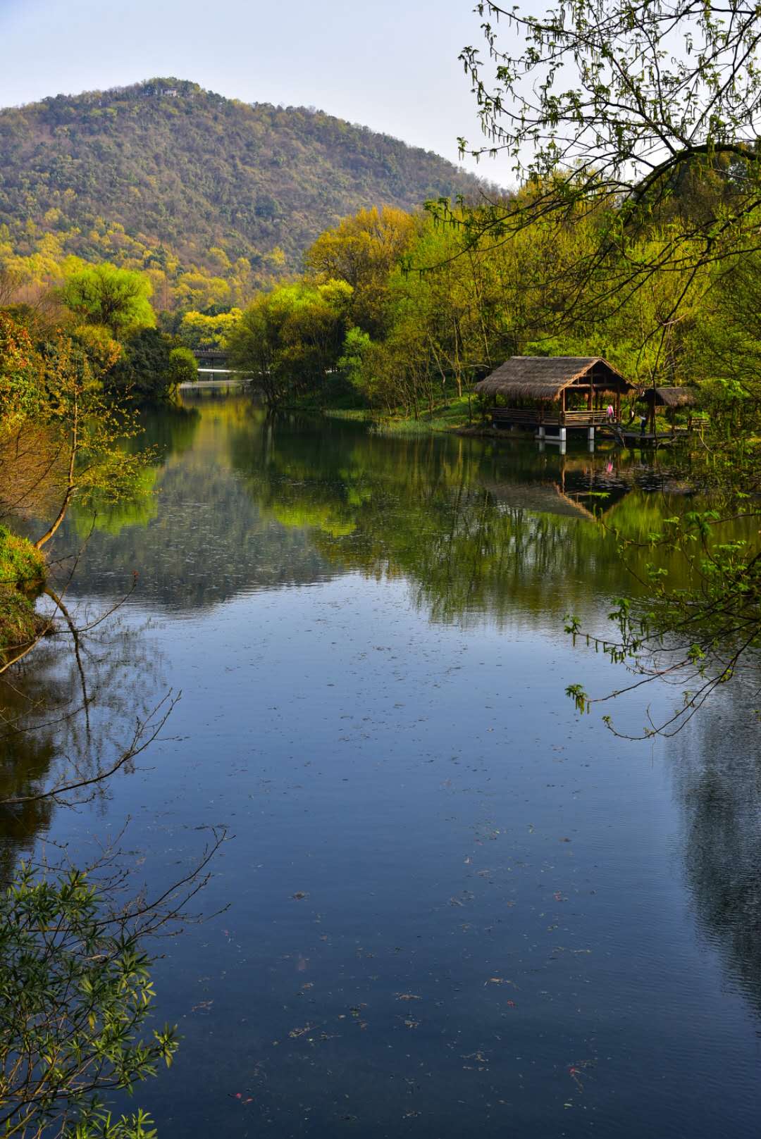 杭州西湖风景名胜区-浴鹄湾景区  