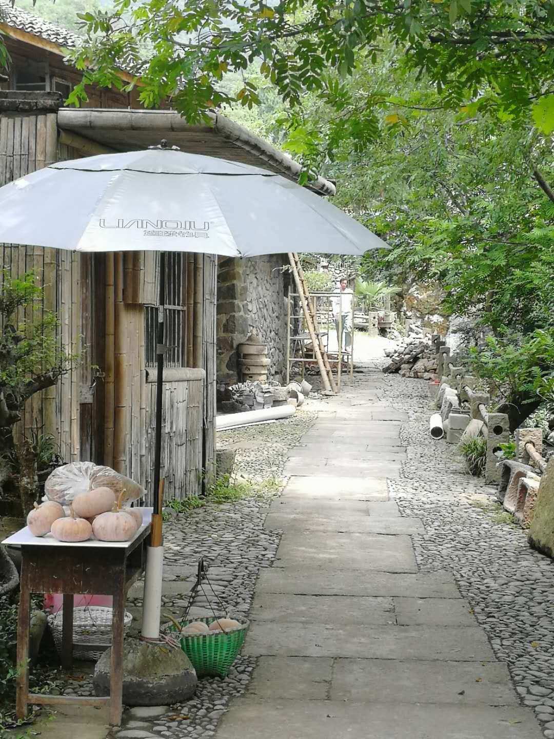 黄岩·乌岩头古村落 丨 民宿驻扎,溪水叮咚,满目翠绿