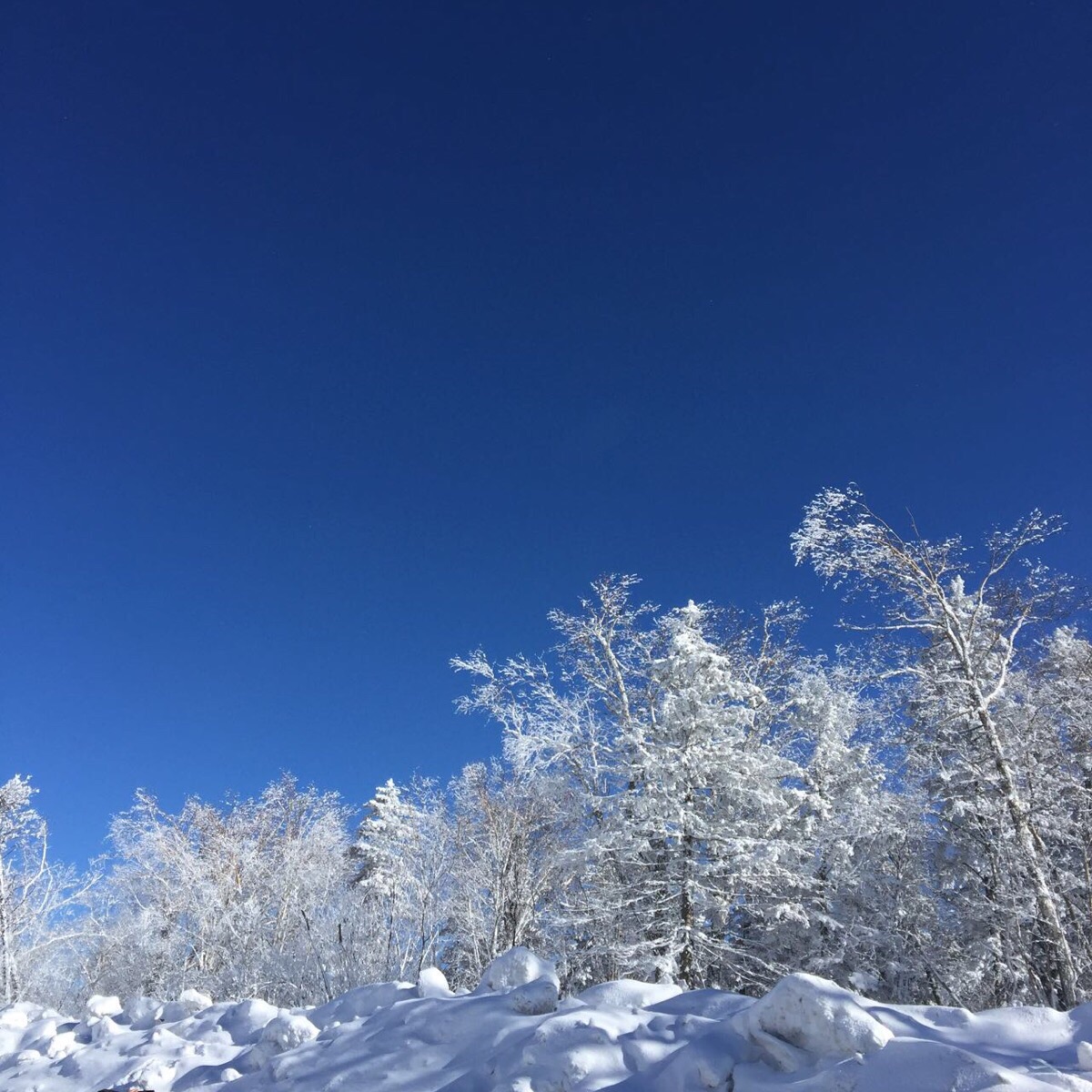 冬季到东北来看雪