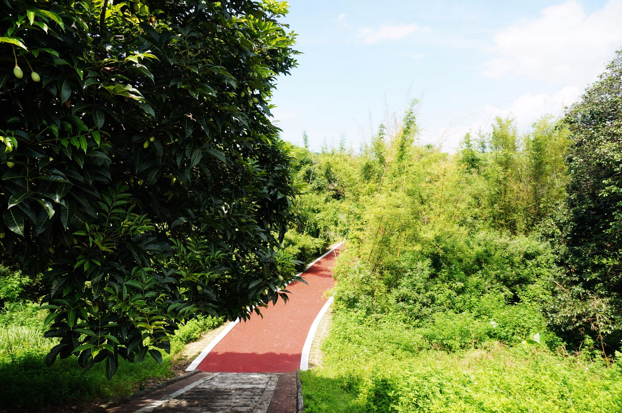 增城莲塘村位于增城市荔城街北部的莲塘村