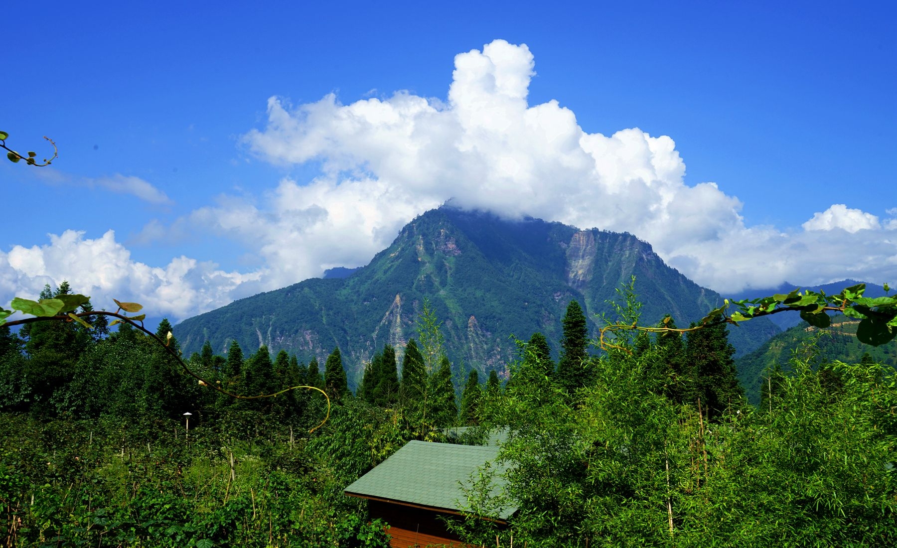 四川汶川鹞子山徒步,汶川旅游攻略 - 马蜂窝