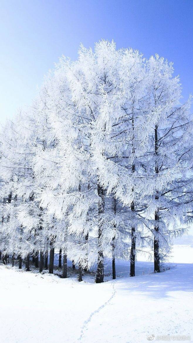 北海道哪里有雾凇雪景看