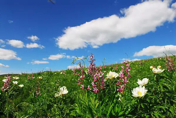 呼伦贝尔一般什么时候去最好