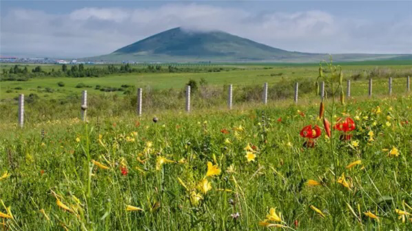 呼伦贝尔一般什么时候去最好