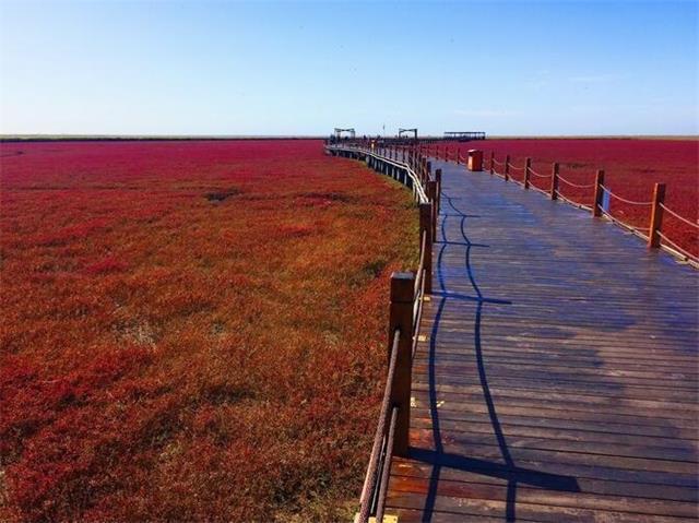 盘锦乡镇人口_盘锦红海滩(2)