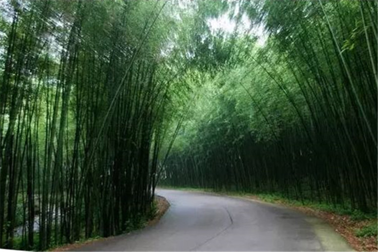 洛阳重渡沟 鸡冠洞2日游(竹林水乡 洞天奇观)
