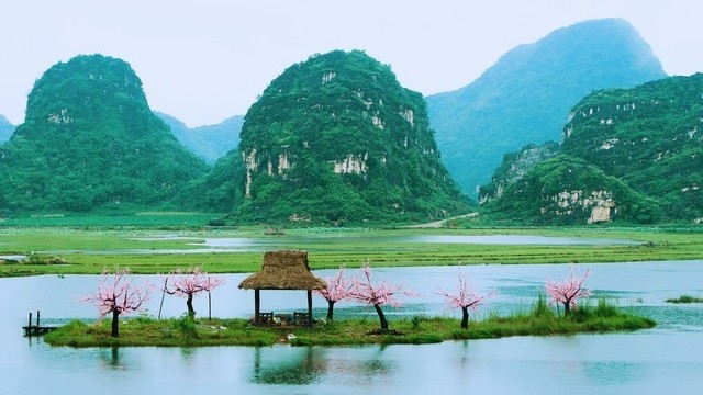 春看桃源夏看荷现世的青丘61普者黑旅行指南