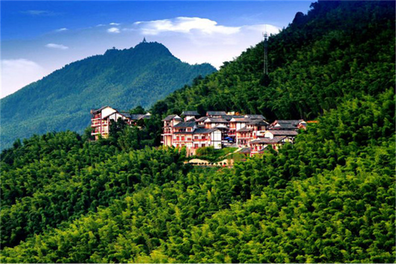 重庆门票 重庆永川茶山竹海深林公园