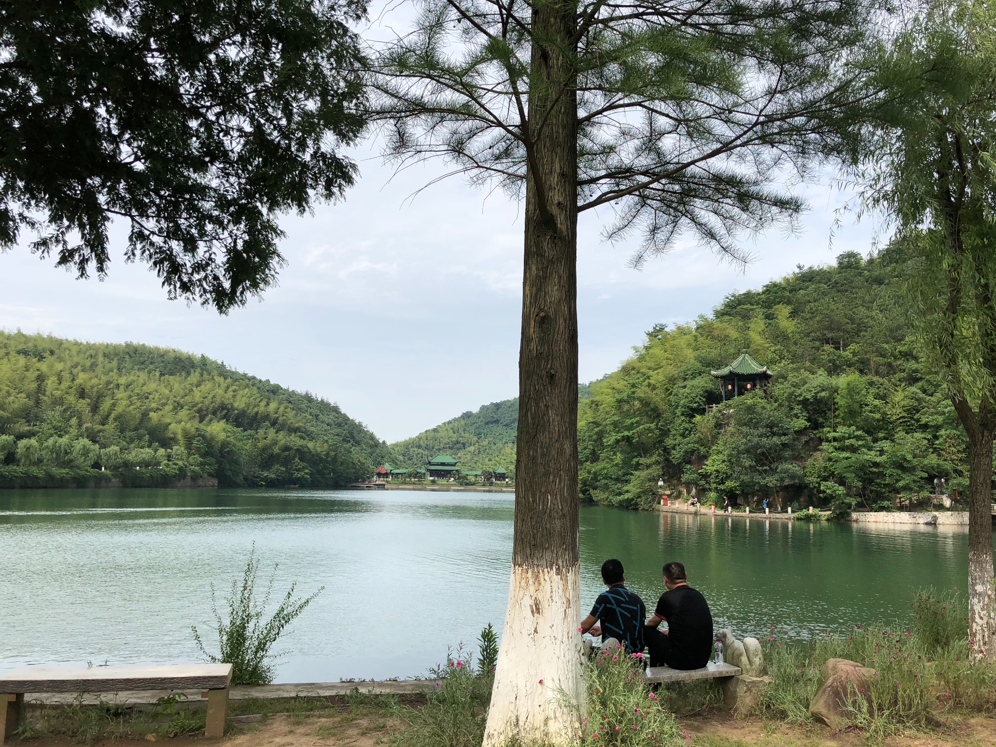 宜兴竹海风景区        