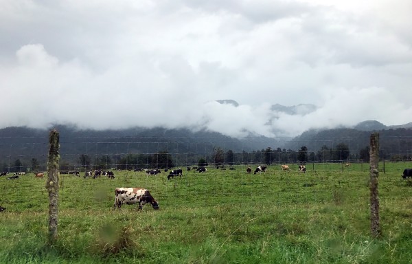 上帝人口普查_人口普查(2)