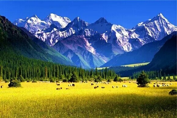 现在可以去新疆游玩吗 wKgBEFrJ5aSASYX8AAN-vNsGsNE18.jpeg?imageView2%2F2%2Fw%2F600%2Fh%2F600%2Fq%2F90