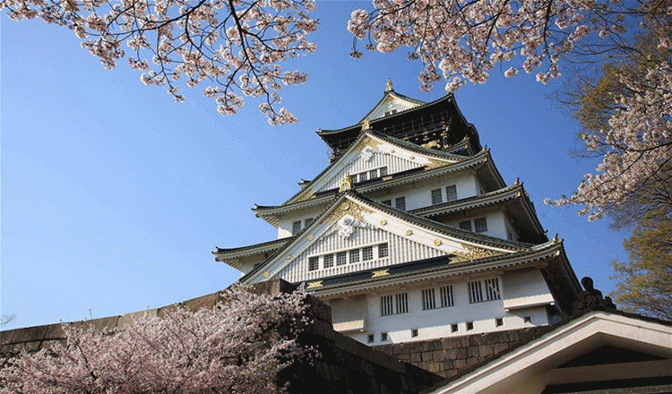 日本大阪 京都 奈良经典景点7日游(经典景点游览 1晚温泉酒店住宿