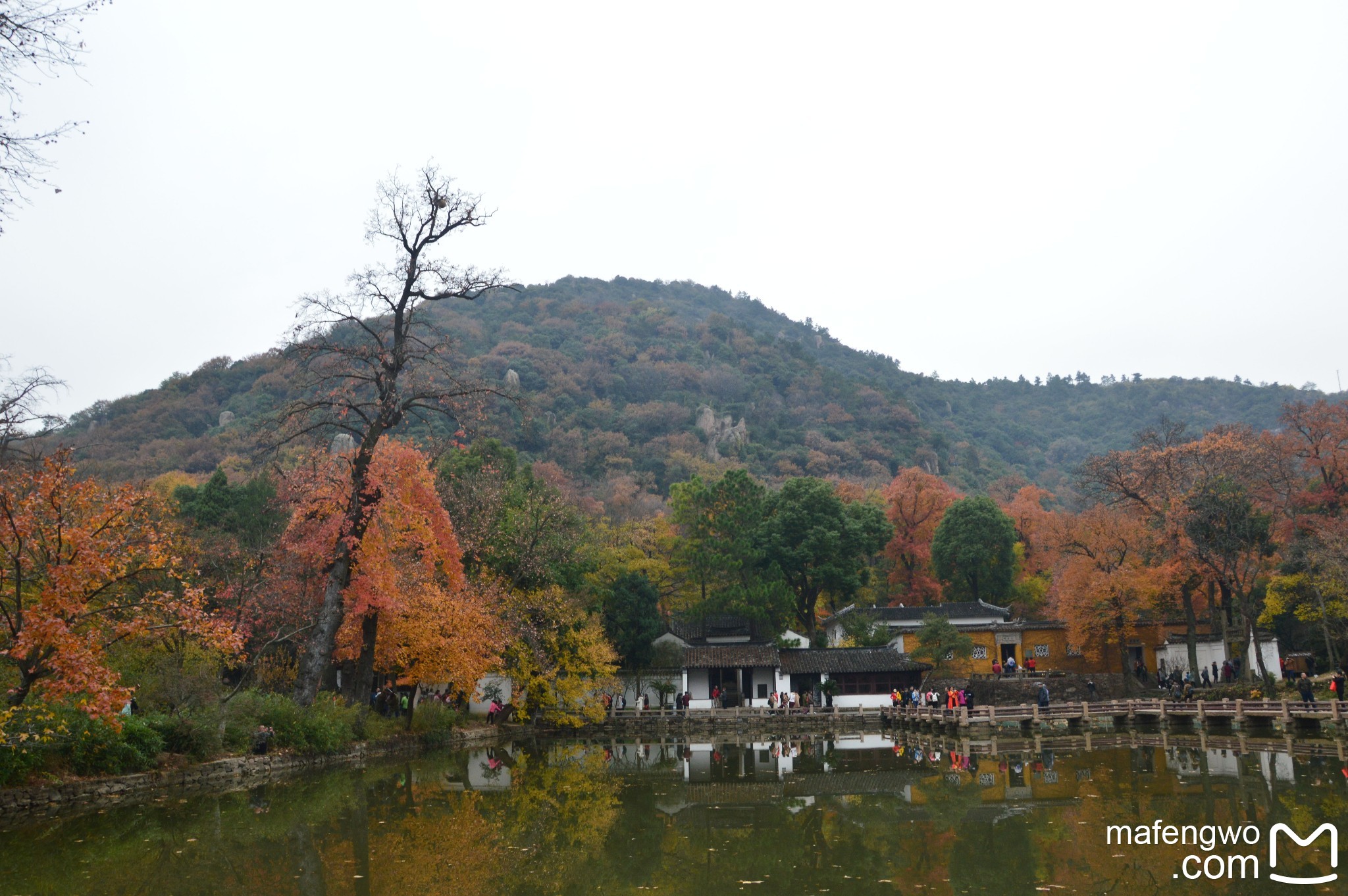 平山有多少人口_平山湖大峡谷图片(2)