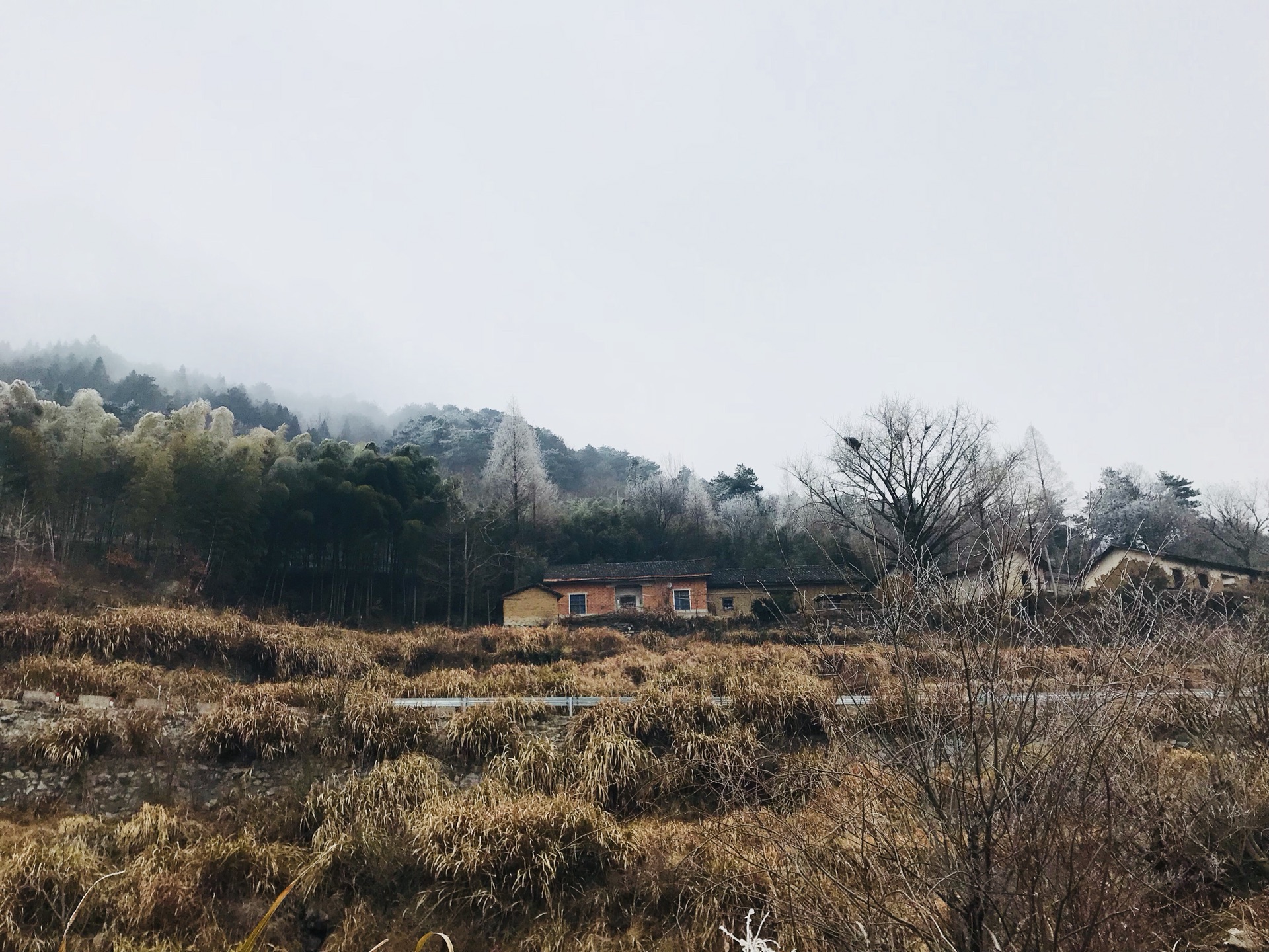 山穷水尽疑无路柳暗花明有奇景