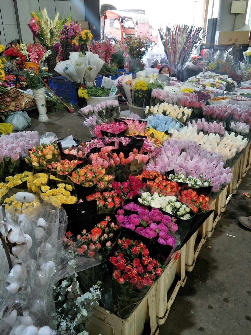 斗南花卉市场        