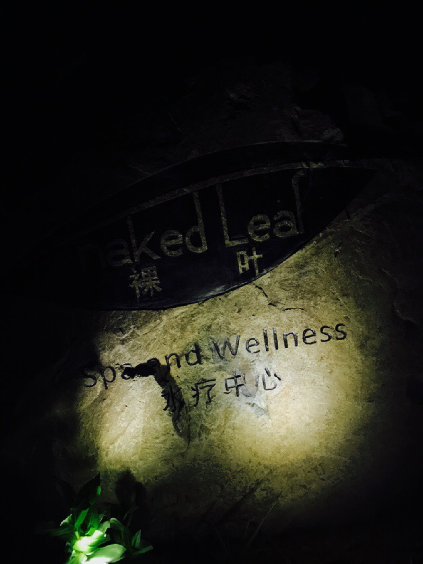 wKgED1vVVgWAFeWqAAUYsYEzG6037.jpeg?imageView2%2F2%2Fw%2F600%2Fh%2F600%2Fq%2F90