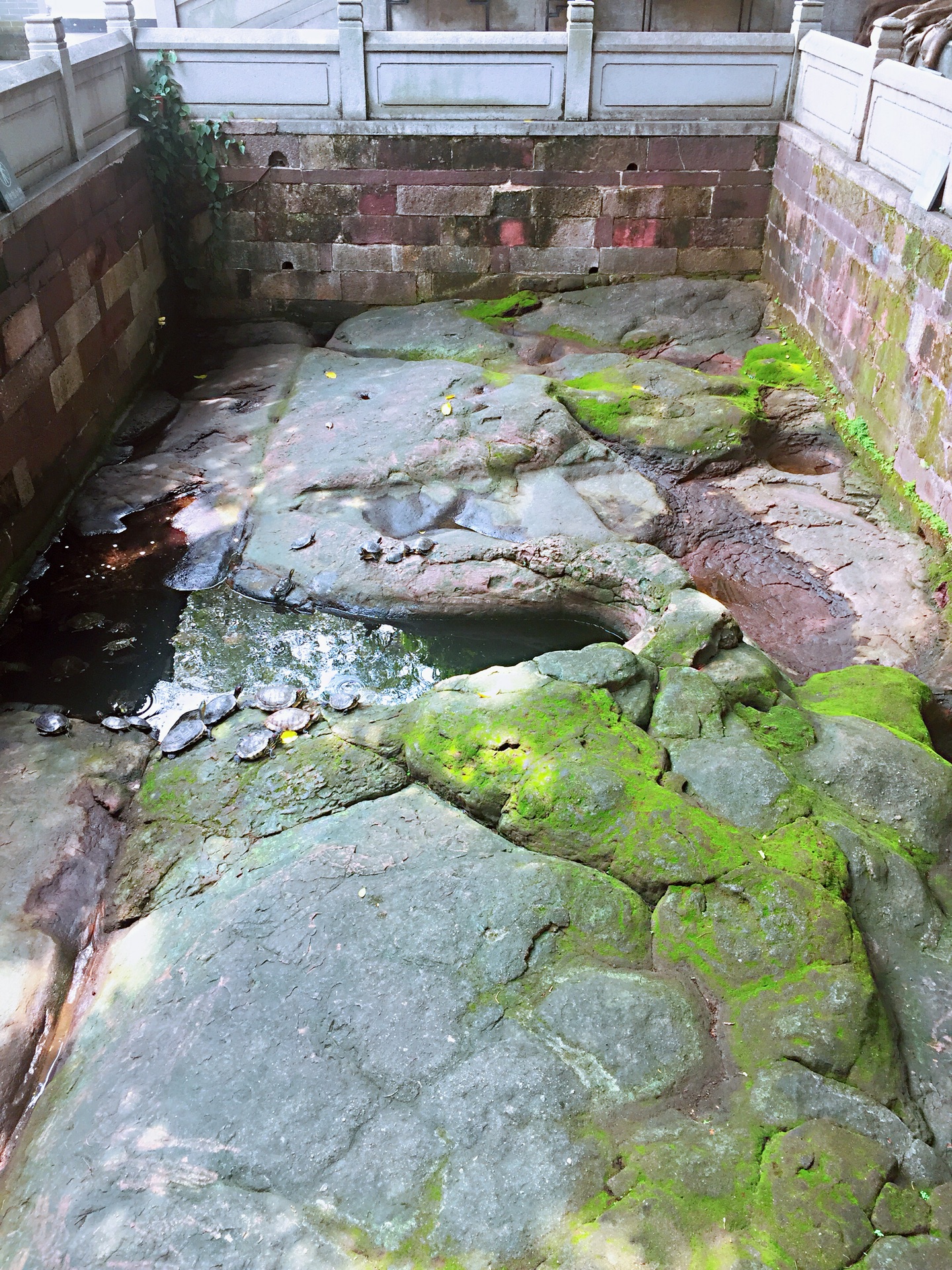 广州经典｜本土姑娘的广州情怀,广州自助游攻略