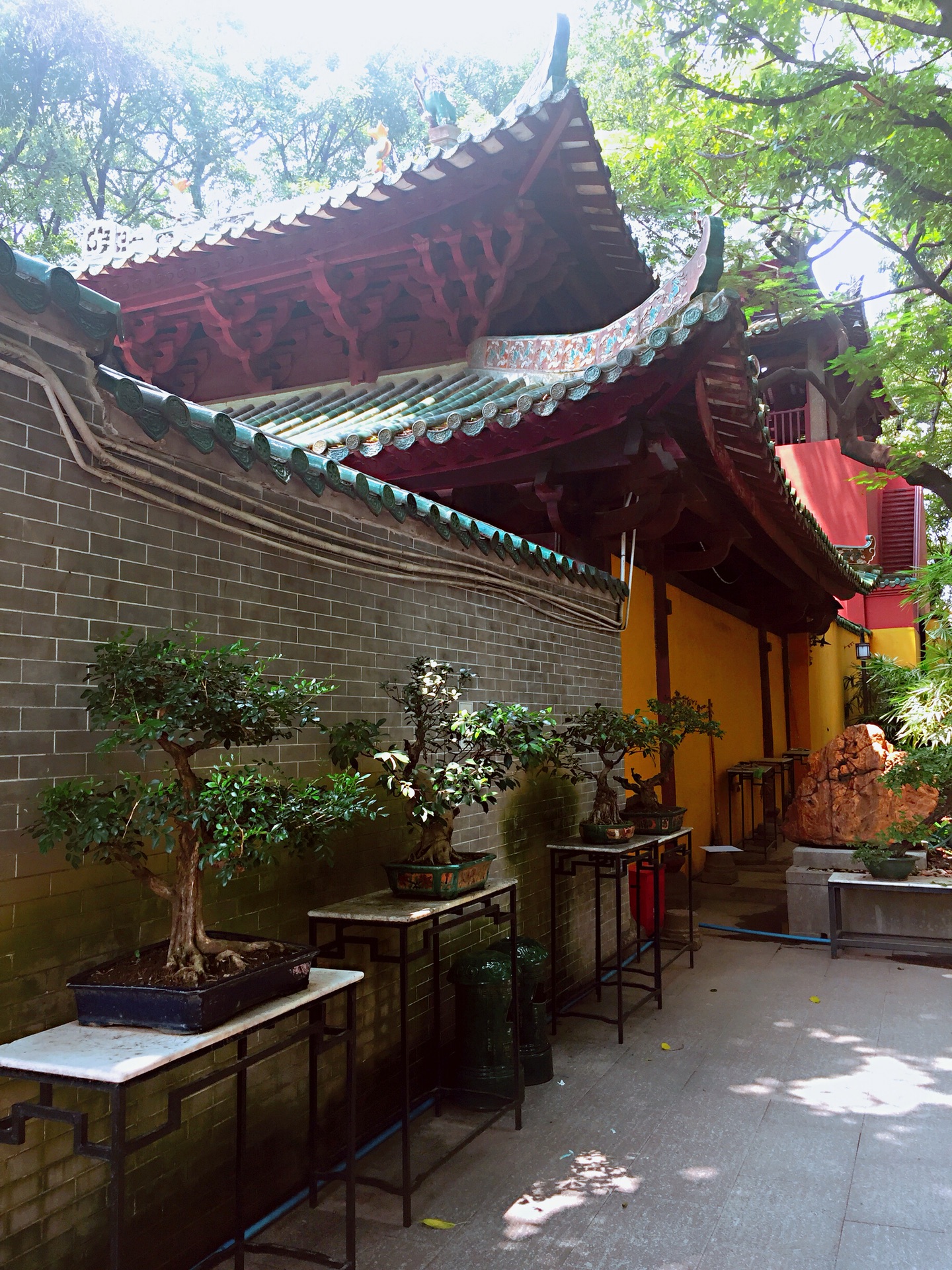 广州经典｜本土姑娘的广州情怀,广州自助游攻略