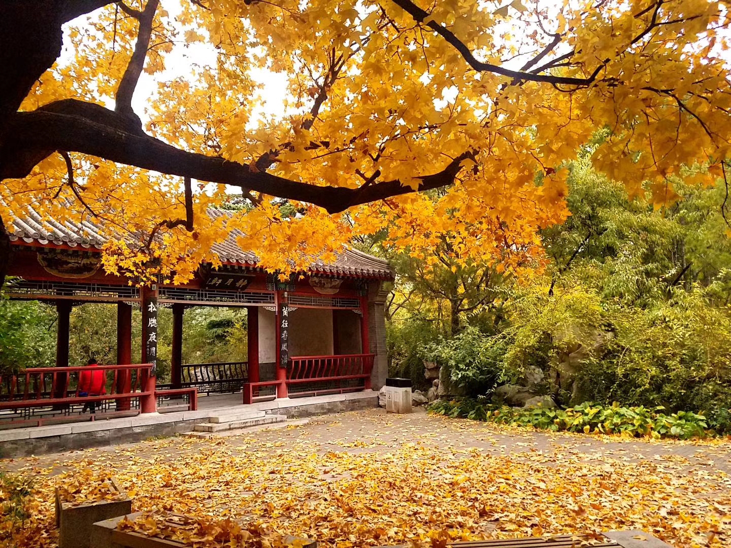 2018114北京78月坛公园78始建1530年78游记