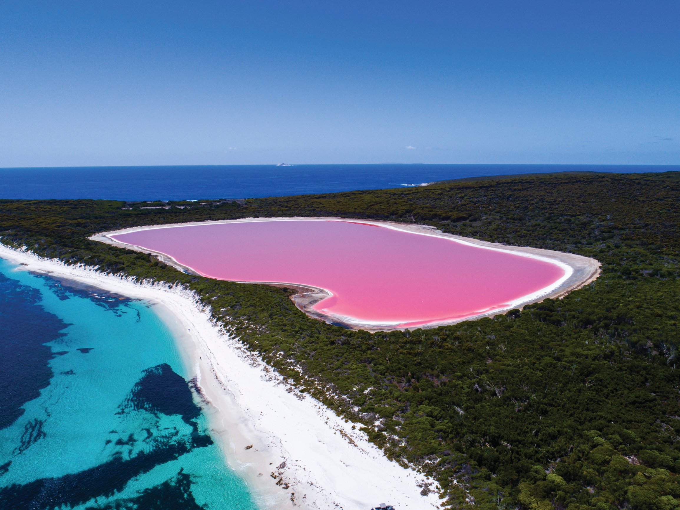 澳大利亚西澳浪漫粉红湖阿布洛霍斯群岛一日游含小飞机2次空中观光岛