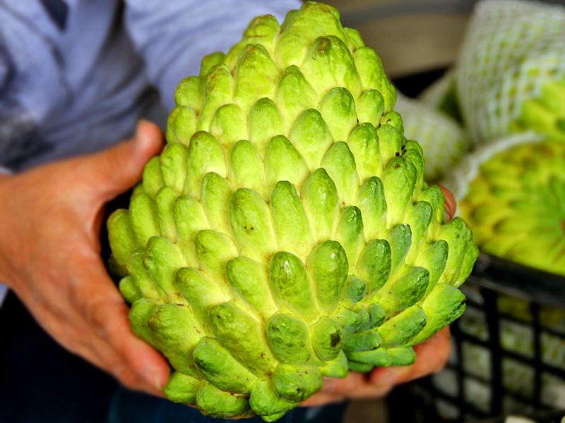 wKgED1wSXNGAEHhIAAJUKKW0dq424.jpeg?imageView2%2F2%2Fw%2F680%2Fq%2F90