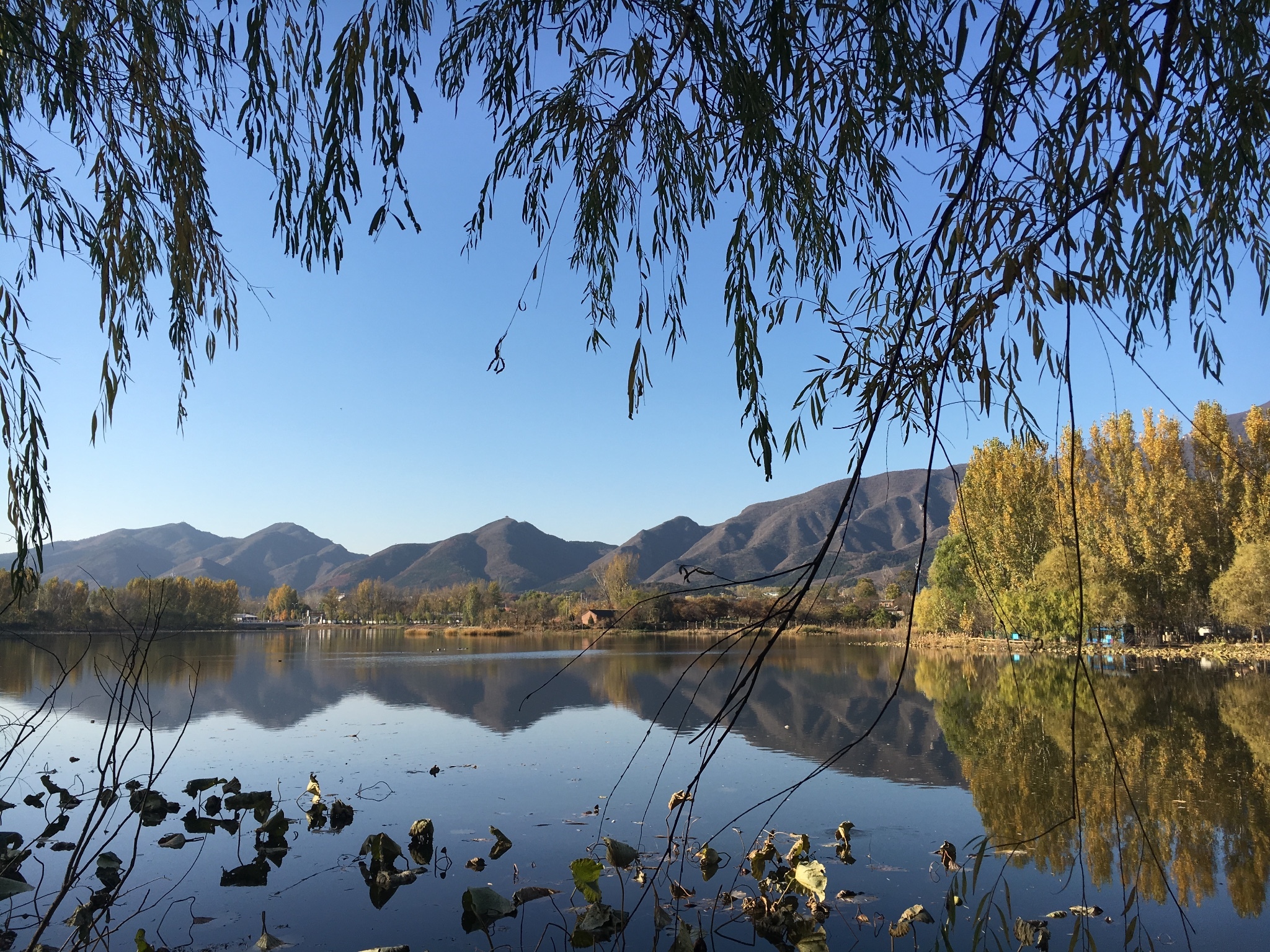 红螺湖鸟岛景区        