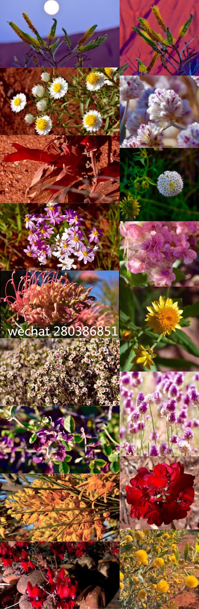 乌鲁鲁的天气怎样