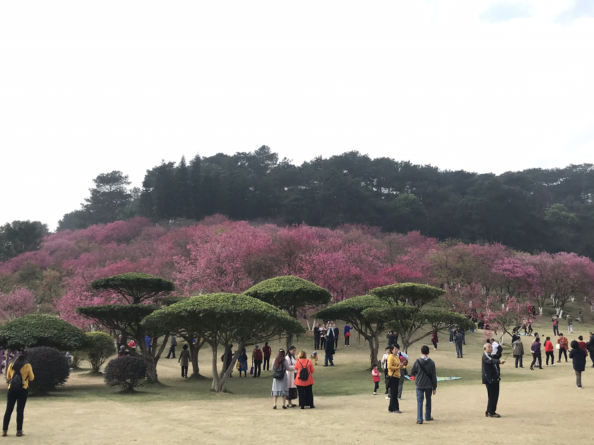 广西南宁石门森林公园三街两巷中山路美食街一日游