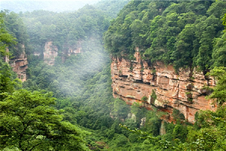 重庆四面山门票 四面山国家风景名胜区(森林氧吧)