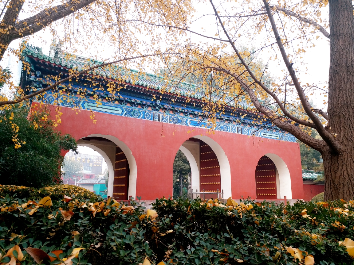 11.13北京日坛公园始建1530年游记