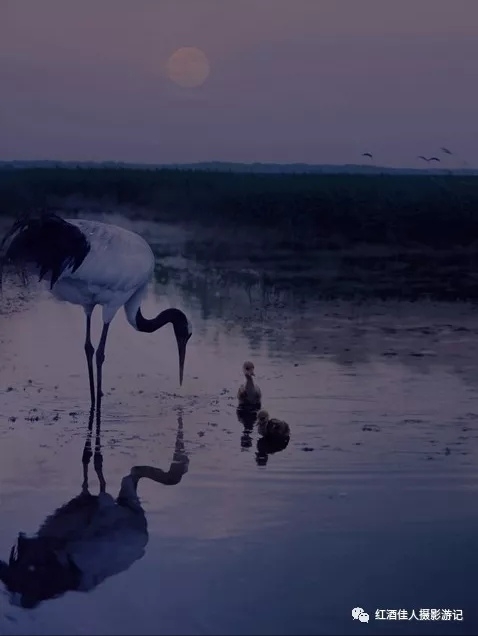 wKgED1v12ayAd2bmAAFPDoRxdtE09.jpeg?imageView2%2F2%2Fw%2F600%2Fh%2F600%2Fq%2F90