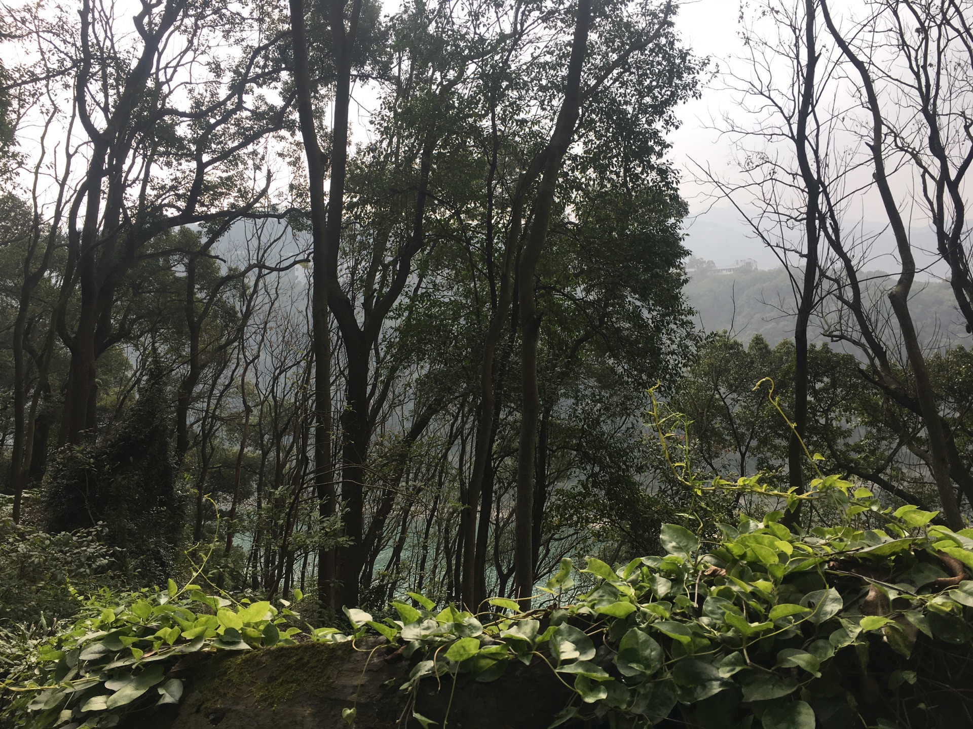 北碚白羊背 张飞古道 野温泉一日游