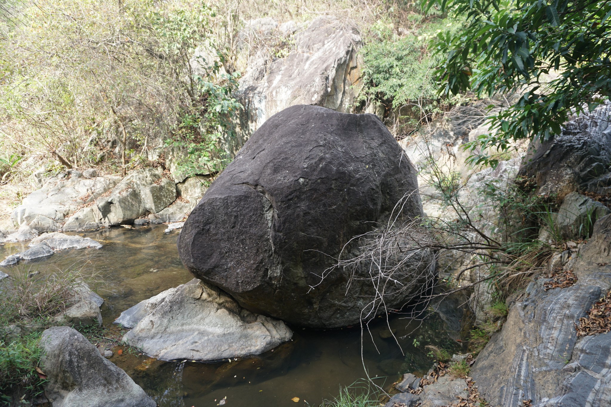 2019-1-9 新河古荔园 霞洞石船头,电白自助游攻略