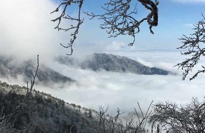 西岭雪山有很多处出名的景点,比如前山后山的分解线——阴阳界;还有