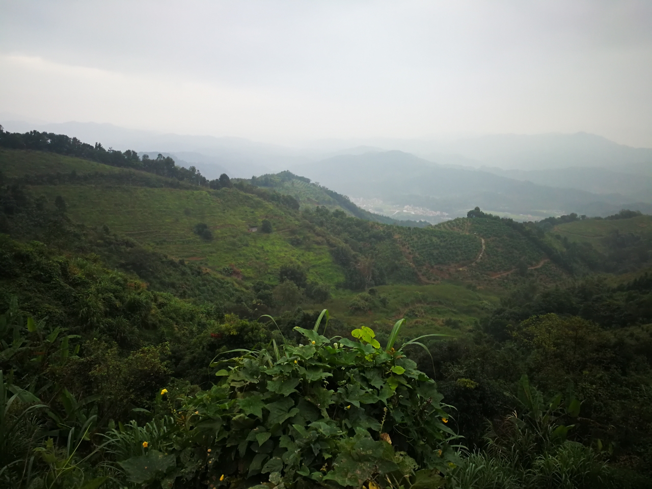 一路风尘,两天游从化吕田桂峰山,寻找心灵的原乡!