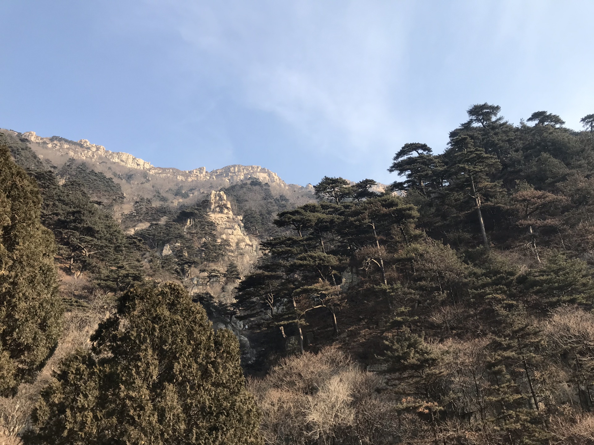 wKgED1wuGTWARx8zAA3VFzP5Egc91.jpeg?imageView2%2F2%2Fw%2F600%2Fh%2F600%2Fq%2F90