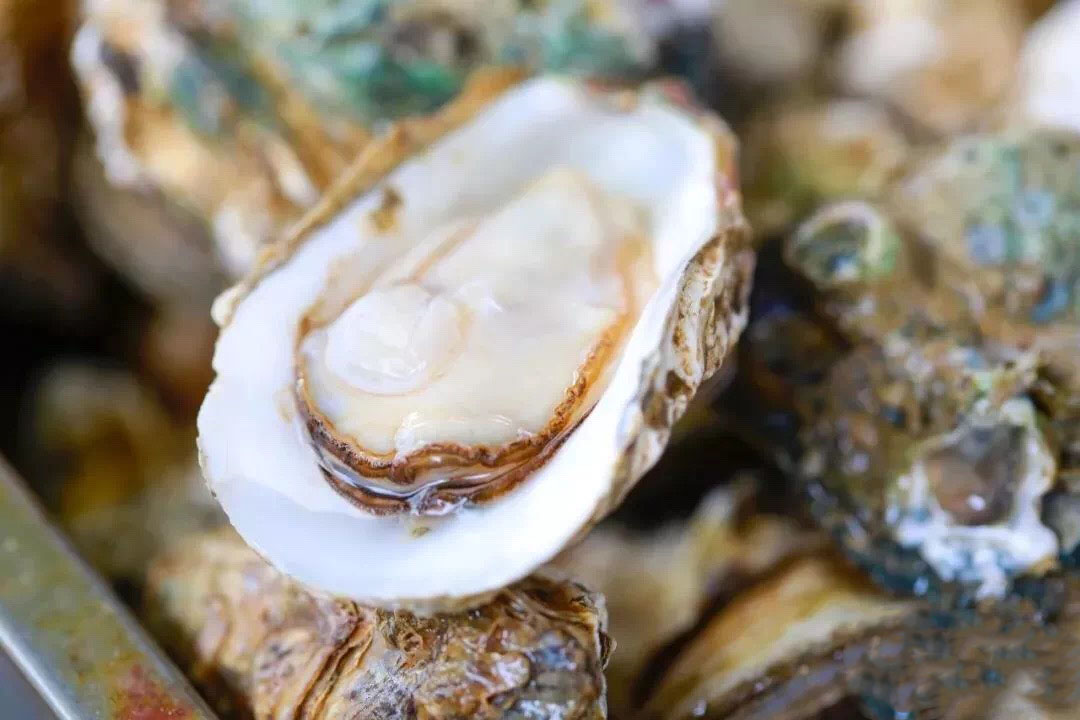 象拔蚌虽然长得有点不正经,但口味绝对是一绝,它不同部位的肉都有不同